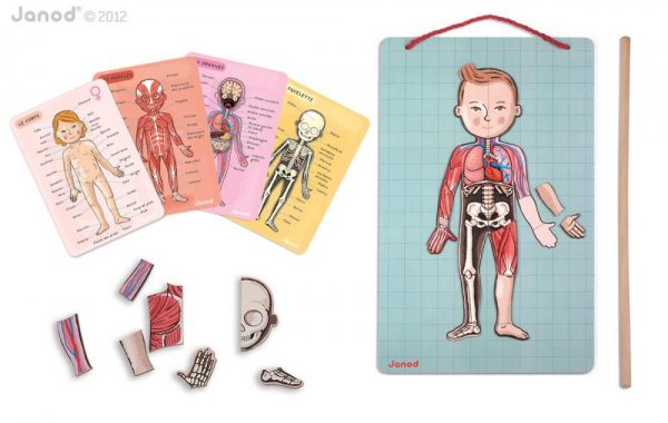 _vyr_3786_J05491_Magneticka_skladacka_Ludske_telo_svaly_kostra_organy_Bodymagnet_Janod_od_7_rokov_a